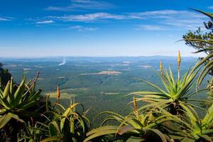 Landscape and scenery of the panorama route in South Africa. View at nature and valley photo