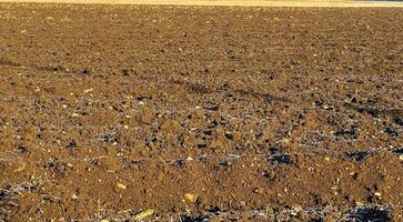 View of fields in early spring after harvest, brown plowed fields in sunlight photo