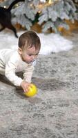 Crawling Caucasian toddler plays with balls on the floor. Black domestic cat runs near baby. Christmas tree at backdrop. Vertical video