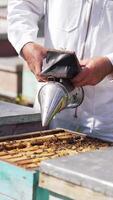 Bee chimney in beekeeper's hands. Apiarist in white suit uses smoker to calm bees in a beehive before looking inside. Beekeeping concept. Vertical video