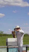 Beekeeper takes out frame with honey for harvesting. Apiarist working near wooden beehives on beautiful summer nature background. Apiculture. Vertical video