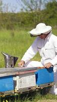 Bees flying over beehives in summer. Apiarist examining bees on a frame and puts it into a hive. Professional beekeeper works on apiary among nature. Vertical video