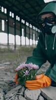 Ecological catastrophe. Ecologist in protective suit and gas mask trying to save flowers in isolated place with chemical attack. Vertical video