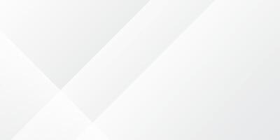 Abstract background of white and gray gradient color vector
