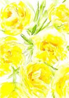Watercolor abstract background with yellow flowers hand drawn sketch pattern vector