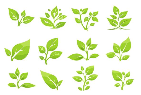 Collection of vibrant green leaf illustrations showcasing various plant shapes and designs ideal for eco-friendly projects