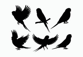 Unique Budgie Silhouette Template Collection vector