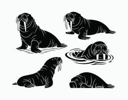 Elegant Walrus Silhouette Collection Template vector