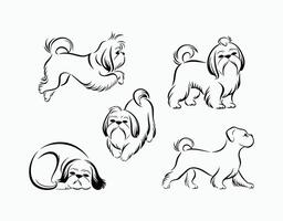 Shih Tzu Silhouette Collection Template Design vector