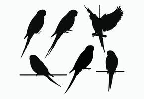 Budgie Silhouette Design Collection Template vector