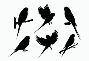 Minimalist Budgie Silhouette EPS Template vector