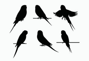 Simple Budgie Silhouette Collection Template vector