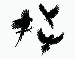 Minimal Parrot Silhouette EPS Template Design vector