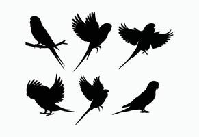 Versatile Budgie Silhouette Collection Template vector