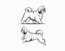 Simple Shih Tzu Silhouette Template vector