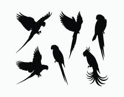 Nature Parrot Silhouette EPS Template Collection vector