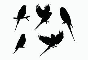 Budgie Silhouette Collection Template vector