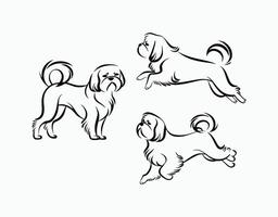Shih Tzu Dog Silhouette Collection Template Design vector
