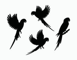 Parrot Silhouette EPS Template Artwork Collection vector