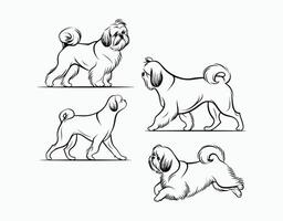 Modern Shih Tzu Silhouette Collection Template vector