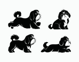 Shih Tzu silhouette EPS illustration Template vector