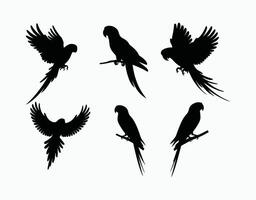 Beautiful Parrot Silhouette EPS Template Design vector