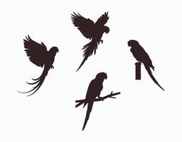 Parrot Silhouette Collection Template vector