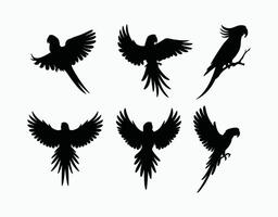 Elegant Parrot Silhouette EPS Template Design vector