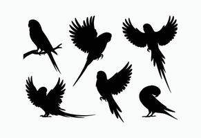 Modern Budgie Silhouette Template Collection vector