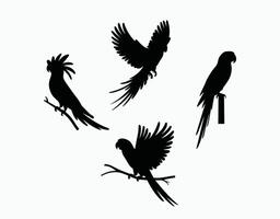 Parrot Flying High Silhouette Collection Template vector