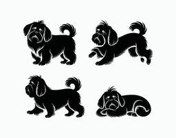 Elegant Shih Tzu Silhouette Collection Template vector