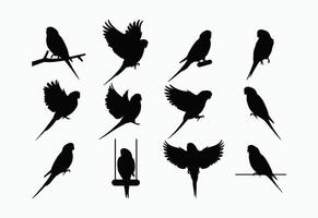 Beautiful Budgie Silhouette Template vector