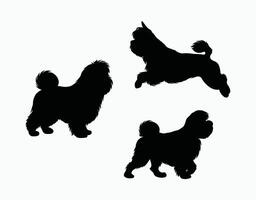 Shih Tzu silhouette on a white background vector