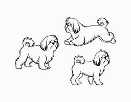 Playful Shih Tzu Silhouette Collection Template vector