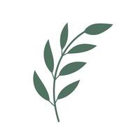 Abstract tree branch with leaves, palm leaf. Trendy tree branch isolated on white background. icon. Flat design. Graphic print. Hand drawn leaf vector