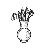 Hand drawn snowdrops bouquet in a vase. Black line art of beautiful winter flowers isolated on a white background. Illustration for online and print projects. vector