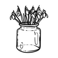 Hand drawn snowdrops bouquet in a jar like vase. Black line art of beautiful winter flowers isolated on a white background. Illustration for online and print projects. vector