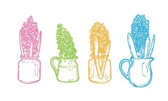 Hand drawn colorful hyacinths with leaves in a jars an vases. Line art spring flower illustration. Doodle of a flower in a banner design. Ready to be used in print and online projects. vector