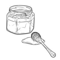 Line art honey jar dipper dipped in honey on the side. honey in a glass jar. Hand drawn illustration of sweet dessert. Outline only, isolated on white background. vector