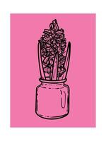 Hand drawn hyacinth with leaves in a jar. Line art spring flower illustration. Doodle of a flower in a pink poster design. Ready to be used in print and online projects. vector