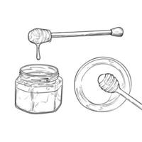 Line art top and side view of honey jars. honey dripping from a dipper. Hand drawn illustration of sweet dessert. Outline only, isolated on white background. vector