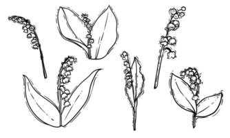 Set of hand drawn lilies of the valley. Black line art of beautiful winter flowers isolated on a white background. Illustration for online and print projects. vector