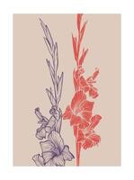 A4 gladiolus illustration in red and purple colors. graphic asset for print projects with hand drawn autumn flowers. Dia de los Muertos botanical highly detailed and quality flower print. vector