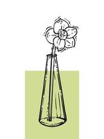 Hand drawn narcissus in a vase. Line art spring flower illustration. Doodle of a flower in a green poster design. Ready to be used in print and online projects. vector