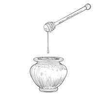 Line art honey product. Hand drawn graphic assets for food products with honey, honey products or sweets and drinks menus. vector