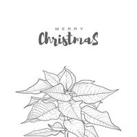 Square visual designed for Christmas social media post. Minimalist design with beautiful hand written text and line art outline poinsettia flower. Design for print and online projects. vector