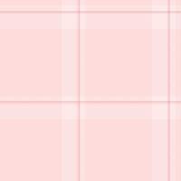 Delicate blush pink plaid pattern. Perfect for backgrounds, textiles, or feminine designs. Subtle texture and soft color palette create a calming and elegant aesthetic. vector
