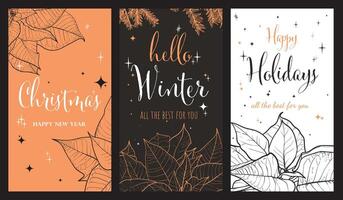 Set of 3 story or reel designs for a warm Christmas. Playful and sparkling design with beautiful hand drawn text and winter plants such as poinsettia and pine branches. vector