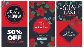 hand drawn Poinsettia on three portrait visuals for social media or for prints such as cards, menus. Line art Poinsettia flower hand drawn in format for sales banners. vector