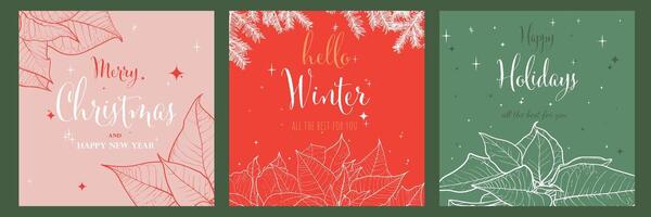 hand drawn Poinsettia on three square visuals for social media or for prints such as cards, menus. Line art Poinsettia flower hand drawn in format alongside pine branches and sparkles. vector